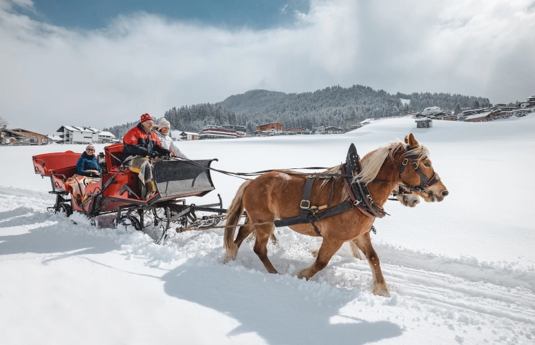 Horse-drawn sleigh ride