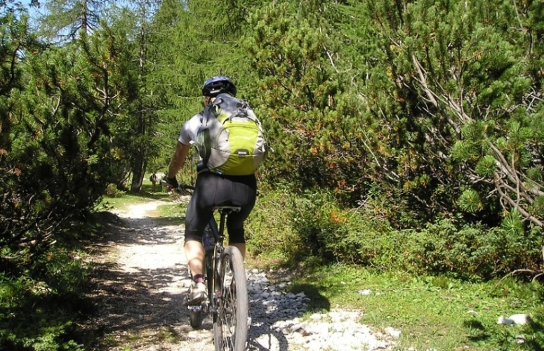 To go biking